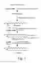 Fig. 02 - Method for Increasing the Production of a Specific ACYL-Chain Dihydroceramide(s) for Improving the Effectiveness of Cancer Treatments