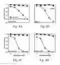 Fig. 04 - Method for Increasing the Production of a Specific ACYL-Chain Dihydroceramide(s) for Improving the Effectiveness of Cancer Treatments