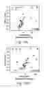Fig. 16 - Method for Increasing the Production of a Specific ACYL-Chain Dihydroceramide(s) for Improving the Effectiveness of Cancer Treatments