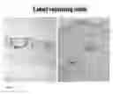 Fig. 08 - Methods for generating new hair follicles, treating baldness, and hair removal