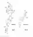 Fig. 07 - Terpene glycosides and their combinations as solubilizing agents