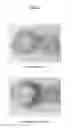 Fig. 03 - Pharmaceutical Or Cosmetic Or Dietetic Composition Suitable For Promoting A Hair Pigmentation Effect