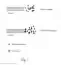 Fig. 05 - Tolbutamide Particle And Preparing Method Thereof And Method Of Reducing A Blood Glucose