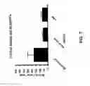 Fig. 08 - Mucosal Immunization
