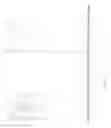 Fig. 22 - MICROSPHERE DRUG CARRIER, PREPARATION METHOD, COMPOSITION AND USE THEREOF