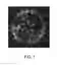 Fig. 02 - Chimeric therapeutics, compositions, and methods for using same