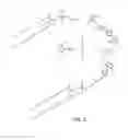 Fig. 03 - Chimeric therapeutics, compositions, and methods for using same