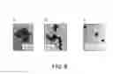 Fig. 07 - Chimeric therapeutics, compositions, and methods for using same