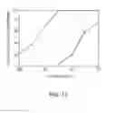 Fig. 12 - Chimeric therapeutics, compositions, and methods for using same
