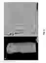 Fig. 07 - METHODS OF MAKING AND USING THREE-DIMENSIONAL EXTRACELLULAR MATRICES