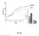 Fig. 29 - METHODS OF MAKING AND USING THREE-DIMENSIONAL EXTRACELLULAR MATRICES