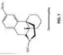 Fig. 02 - PHARMACEUTICAL AND NUTRACEUTICAL COMPOSITIONS FOR TREATING RESPIRATORY DISEASE AND ASSOCIATED PHLEGM