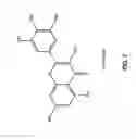 Fig. 08 - PHARMACEUTICAL AND NUTRACEUTICAL COMPOSITIONS FOR TREATING RESPIRATORY DISEASE AND ASSOCIATED PHLEGM