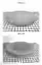Fig. 04 - ALLERGEN-FREE COMPOSITIONS