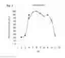 Fig. 05 - Method for improvement of foods utilizing β-amylase