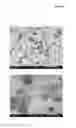 Fig. 04 - Method for preparing aggregated protein particles