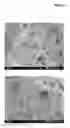 Fig. 05 - Method for preparing aggregated protein particles