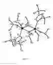 Fig. 06 - Complexes of imidazole ligands