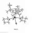 Fig. 25 - Complexes of imidazole ligands