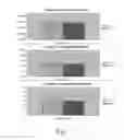 Fig. 05 - FORMULATION AND PROCESS FOR TREATING WOOD SUBSTRATES