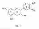 Fig. 02 - Renewable resource-based metal-containing materials and applications of the same