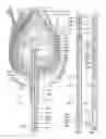 Fig. 04 - ANIMATED ARTIFICIAL FLOWER