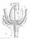 Fig. 05 - ANIMATED ARTIFICIAL FLOWER