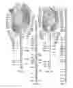 Fig. 07 - ANIMATED ARTIFICIAL FLOWER