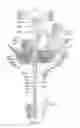 Fig. 10 - ANIMATED ARTIFICIAL FLOWER