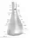 Fig. 11 - ANIMATED ARTIFICIAL FLOWER