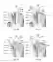 Fig. 13 - ANIMATED ARTIFICIAL FLOWER