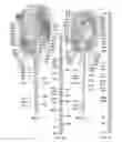 Fig. 19 - ANIMATED ARTIFICIAL FLOWER