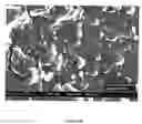 Fig. 09 - Glove coating and manufacturing process