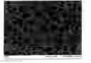 Fig. 01 - PROCESS FOR PRODUCING EXPANDABLE THERMOPLASTIC BEADS WITH IMPROVED EXPANDABILITY