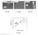 Fig. 04 - COATED ARTICLES, ELECTRODEPOSITION BATHS, AND RELATED SYSTEMS