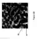 Fig. 05 - Mildly alkaline thin inorganic corrosion protective coating for metal substrates