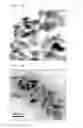 Fig. 04 - NEGATIVE ACTIVE MATERIAL AND LITHIUM SECONDARY BATTERY WITH THE SAME, AND METHOD FOR MANUFACTURING THE LITHIUM SECONDARY BATTERY
