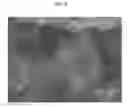 Fig. 03 - Surface-modified silicon anode active material, method of preparing the same, and anode and lithium battery employing the same