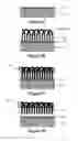 Fig. 06 - Carbon nanotube composite structures and methods of manufacturing the same