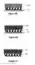 Fig. 08 - Carbon nanotube composite structures and methods of manufacturing the same