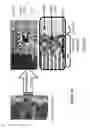 Fig. 12 - Carbon nanotube composite structures and methods of manufacturing the same
