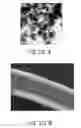 Fig. 04 - Membrane And Catalyst Composite For Membrane Electrode Assembly
