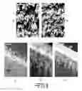 Fig. 06 - Membrane And Catalyst Composite For Membrane Electrode Assembly