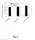 Fig. 08 - Fuel Cell Durability Through Oxide Supported Precious Metals in Membrane