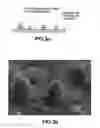 Fig. 04 - Fuel cell separator and method for surface treatment of the same