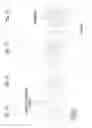 Fig. 02 - Developer for electrostatic photography, process cartridge for image forming apparatus, image forming apparatus, and image forming method