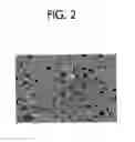 Fig. 03 - Developer for electrostatic photography, process cartridge for image forming apparatus, image forming apparatus, and image forming method