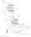 Fig. 08 - Dental implant