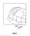 Fig. 03 - PERIODONTAL TRAINING