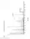 Fig. 10 - Method to detect and sequence post translationally modified peptides